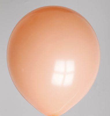 Ballon zalm 53dc